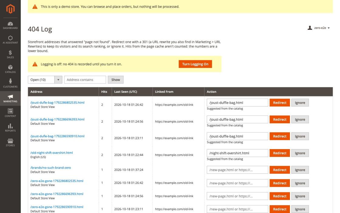 404 Log and Redirects